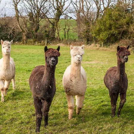 Curragh House Сasa de vacaciones *
